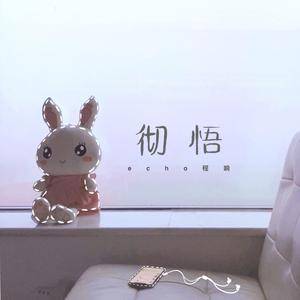 彻悟（伴奏）